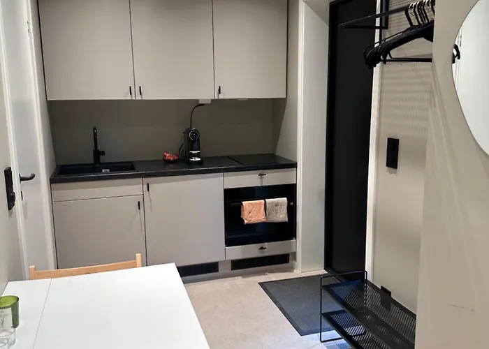 Daire Koselig Liten Boenhet Rett Ved Sno *