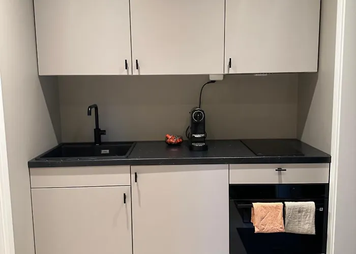 Daire Koselig Liten Boenhet Rett Ved Sno