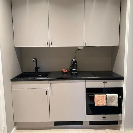 Koselig Liten Boenhet Rett Ved Sno Appartement